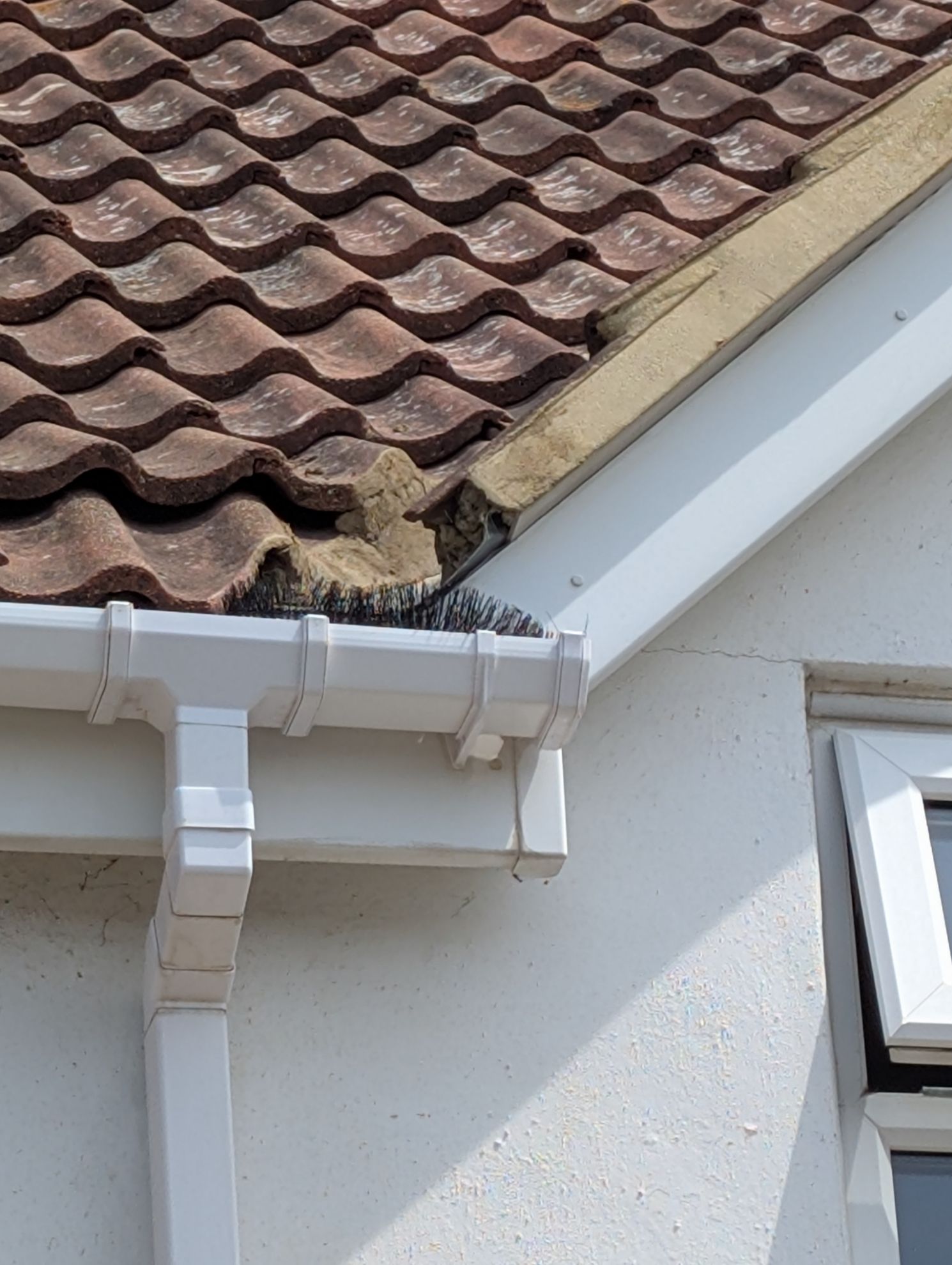 Picture of New single