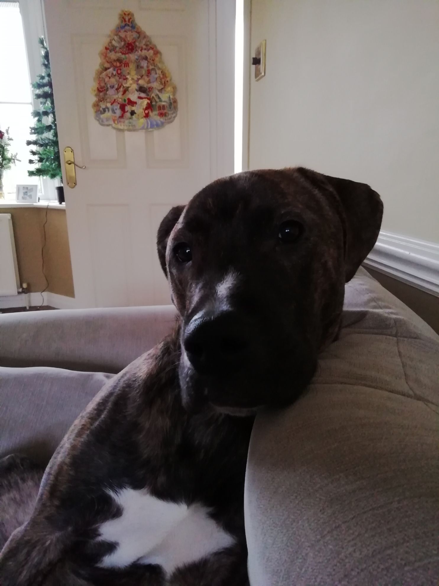 Picture of belinda revisited